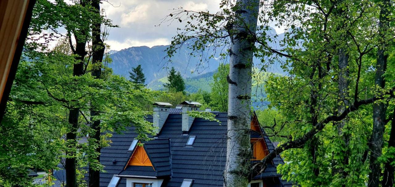 Vip Apartamenty Cristal Zakopane Dış mekan fotoğraf